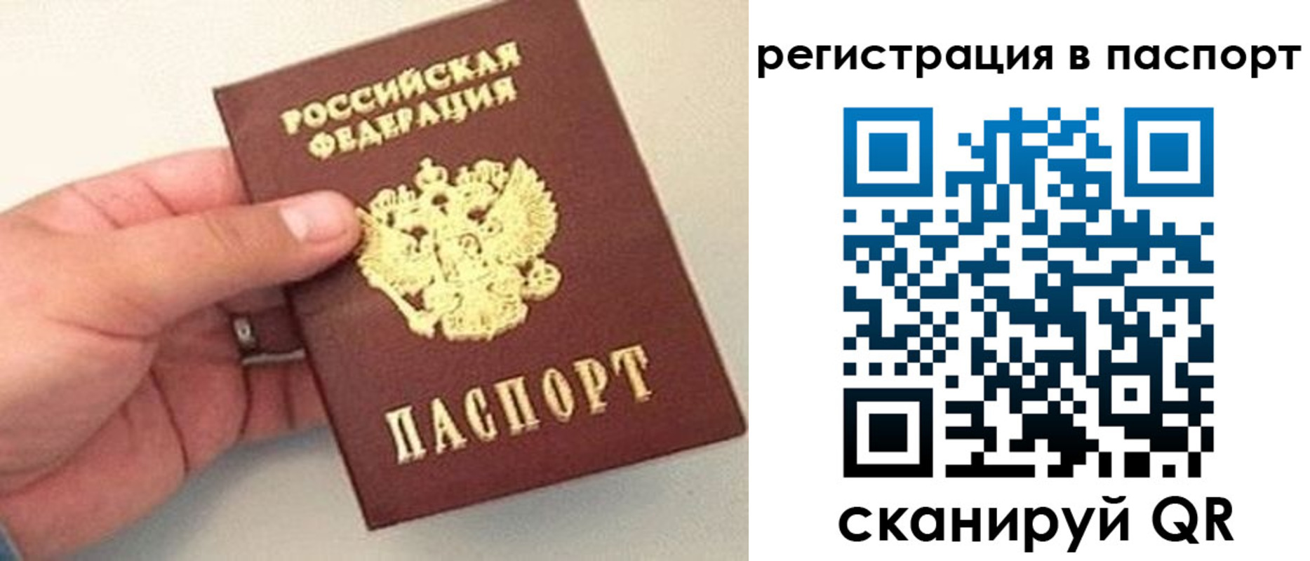 прописка законно в Кинешме